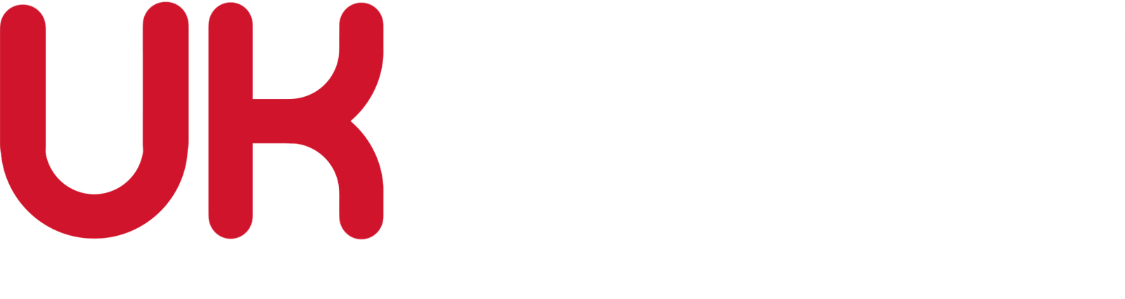 UKSEDS Logo